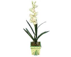 zel Yapay Orkide Beyaz   Ankara 14 ubat sevgililer gn iek 