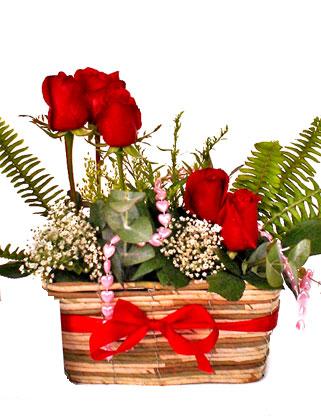  Balgat ucuz çiçek gönder  SEVDIM DIYENLERE Örme sepet 9 adet kirmizi gül