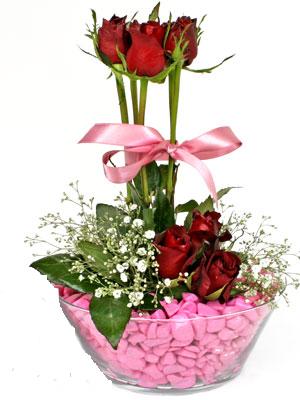  balgat çiçek siparişi Ankara çiçek yolla  SEVIYORUM DIYENLER 7 kirmizi gül tanzim