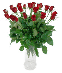  Balgat Ankara çiçek gönderme  11 adet kimizi gülün ihtisami cam yada mika vazo modeli