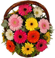 Sepet içerisinde sicak sevgi çiçekleri  Balgat Ankara uluslararası çiçek gönderme 
