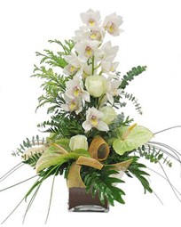  Balgat Ankara kaliteli taze ve ucuz iekler  cam vazo ierisinde 1 dal orkide iegi