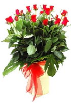 Vazoda 15 adet kırmızı gül  Balgat online çiçek siparişi vermek 
