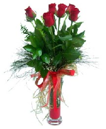 vazo içerisinde 5 kırmızı gül  Ankara güvenli kaliteli hızlı çiçek 