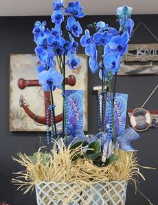4 dall zel mavi orkide  Balgat Ankara online iek gnderme sipari 
