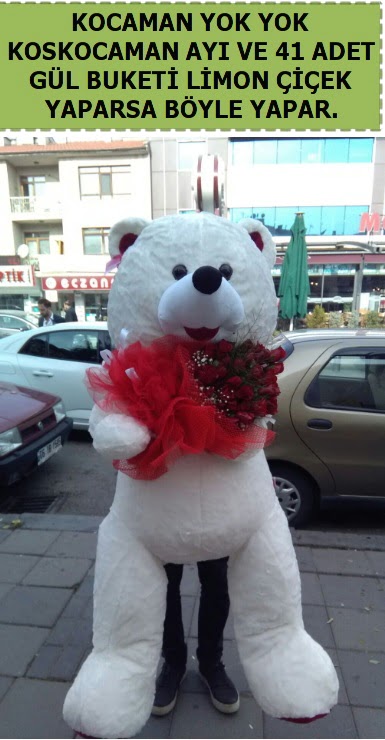 Koskocaman beyaz ayı ve 25 adet gül  Ankara internetten çiçek satışı 
