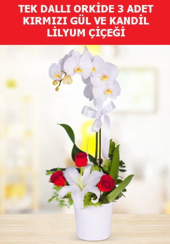 Tek dall orkide 3 gl ve kandil lilyum  Balgat online ieki telefonlar 