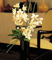  Ankara ieki maazas  cam yada mika vazo ierisinde dal orkide