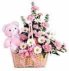  Balgat Ankara online çiçek gönderme sipariş  oyuncak bir pelus ve sepet