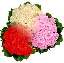 3 renkte gül seven sever   Ankara çiçekçiler hediye çiçek yolla 