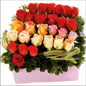 15 adet renkli gül ve cam   Ankara Balgat online internetten çiçek siparişi 
