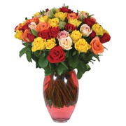 51 adet gül ve kaliteli vazo   Ankara İnternetten çiçek siparişi 