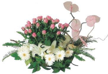  çiçek satışı ankara balgat çiçekçi  Çok özel sevdiklerinize çiçek tanzimi