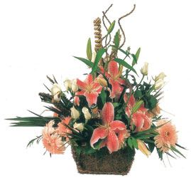  Ankara çiçekçiler hediye çiçek yolla  Mevsimsel Çok özel sevdiklerinize çiçek tanzimi