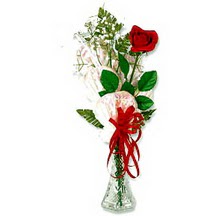  Ankara Balgat online internetten çiçek siparişi  1 adet kirmizi gül cam yada mika vazoda