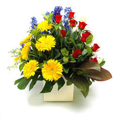  Balgat online çiçek siparişi vermek  9 adet gül ve kir çiçekleri cam yada mika vazoda