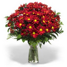  Balgat online çiçekçi telefonları  Kir çiçekleri cam yada mika vazo içinde