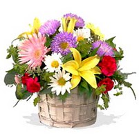 sepette karisik kir çiçekleri  Ankara internetten çiçek satışı  görsel sepet 