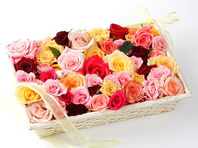 33 adet renkli gül sepet içerisinde  Balgat online çiçek siparişi vermek 