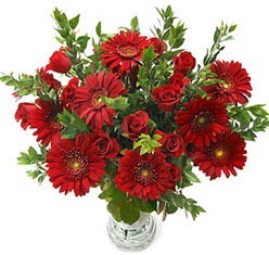 5 adet kirmizi gül 5 adet gerbera aranjmani  Balgat Ankara uluslararası çiçek gönderme 