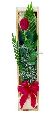 1 adet kutuda kirmizi gül  Ankara İnternetten çiçek siparişi 