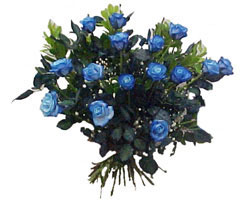  balgat çiçek siparişi Ankara çiçek yolla  9 mavi gül güzel bir buket