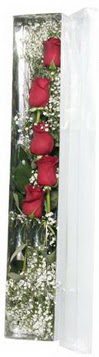  Ankara internetten çiçek satışı   5 adet gülden kutu güller