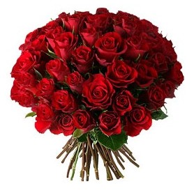  Ankara çiçekçiler hediye çiçek yolla  33 adet kırmızı gül buketi