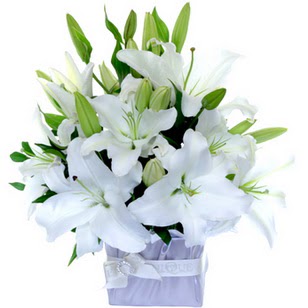  Balgat online çiçekçi telefonları  2 dal cazablanca vazo çiçeği