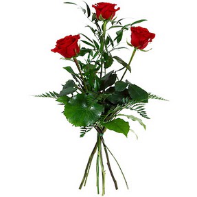  Balgat ucuz çiçek gönder  3 adet kırmızı gülden buket