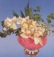  Balgat Ankara kaliteli taze ve ucuz iekler  Dal orkide kalite bir hediye