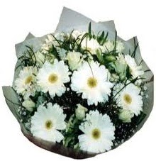 Eşime sevgilime en güzel hediye  Balgat Ankara anneler günü çiçek yolla 
