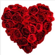  Balgat ucuz çiçek gönder  19 adet kırmızı gülden kalp tanzimi