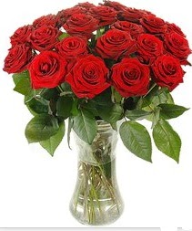  Balgat Ankara kaliteli taze ve ucuz çiçekler  Vazoda 15 adet kırmızı gül tanzimi