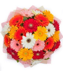 15 adet renkli gerbera buketi  yurtiçi ve yurtdışı çiçek siparişi 