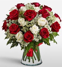 Vazoda 12 kırmızı 12 beyaz gül tanzimi  Balgat ucuz çiçek gönder 