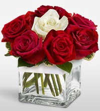 Tek aşkımsın çiçeği 8 kırmızı 1 beyaz gül  Balgat ucuz çiçek gönder 