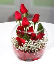 Cam fanus içerisinde 9 adet kırmızı gül  Balgat Ankara online çiçek gönderme sipariş 