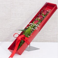 Kutu içerisinde 3 adet kırmızı gül  Balgat online çiçek siparişi vermek 