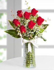 Cam vazoda 7 adet kırmızı gül  Ankara çiçekçiler hediye çiçek yolla 