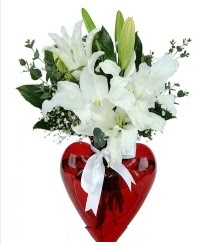 Kalp vazoda 3 kazablanka çiçeği  balgat çiçek siparişi Ankara çiçek yolla 