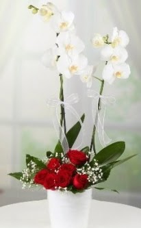 2 dallı beyaz orkide 7 adet kırmızı gül  Balgat Ankara çiçek online çiçek siparişi 