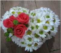 3 adet kırmızı gül mika kalptte papatyalar  Balgat Ankara çiçek siparişi sitesi 