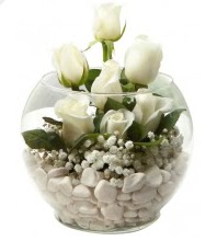 11 adet beyaz gül cam fanus çiçeği  Balgat Ankara kaliteli taze ve ucuz çiçekler 