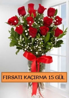  15 İthal kırmızı gül büyük başlı orjinal  Ankara internetten çiçek satışı 