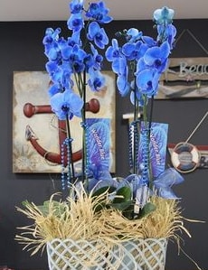 4 dallı özel mavi orkide  Balgat Ankara online çiçek gönderme sipariş 