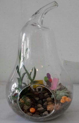 Orta boy cam armut terrarium  çiçek satışı ankara balgat çiçekçi 