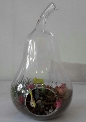 Armut orta boy cam terrarium tanzim  Balgat Ankara çiçek gönderme 