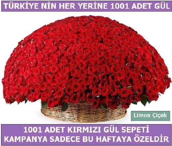 1001 Adet kırmızı gül Bu haftaya özel  balgat çiçek siparişi Ankara çiçek yolla 