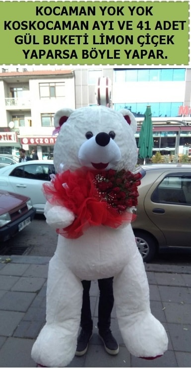 Koskocaman beyaz ayı ve 25 adet gül  Ankara internetten çiçek satışı 